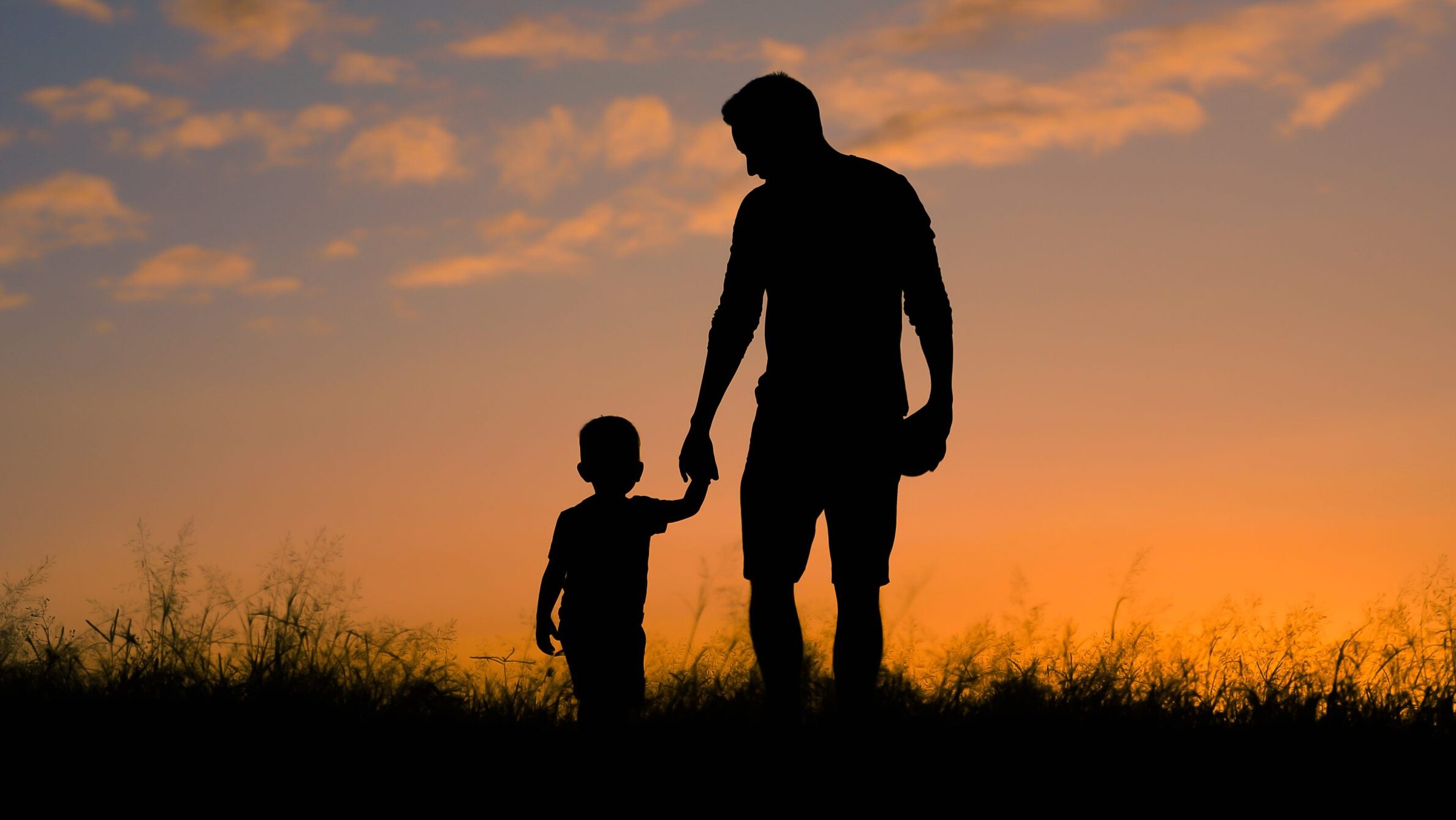Domestic Adoption