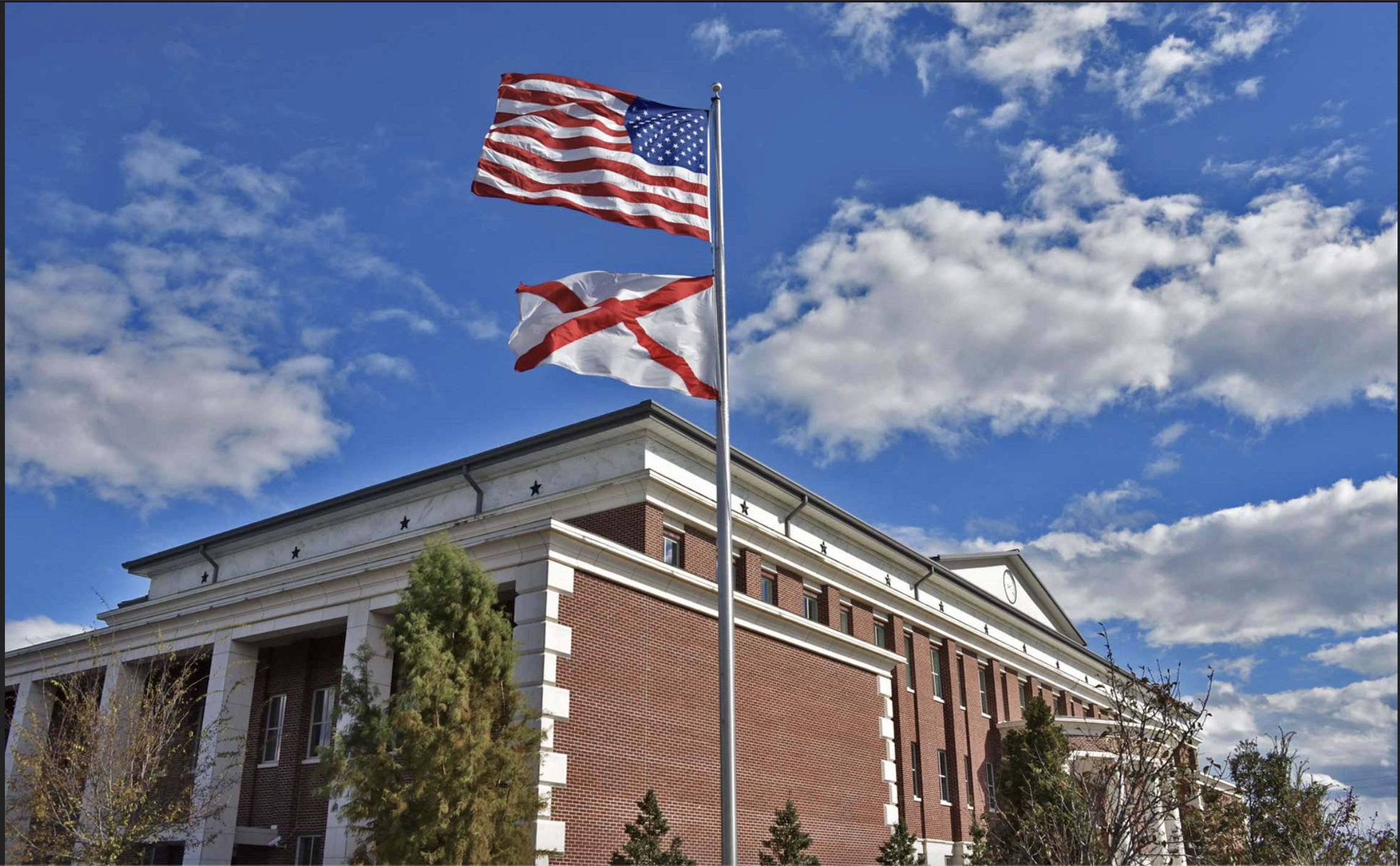 cullman county and foster care termination of parental rights best interest